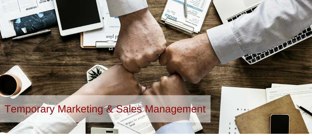 Temporary Marketing & Sales Management